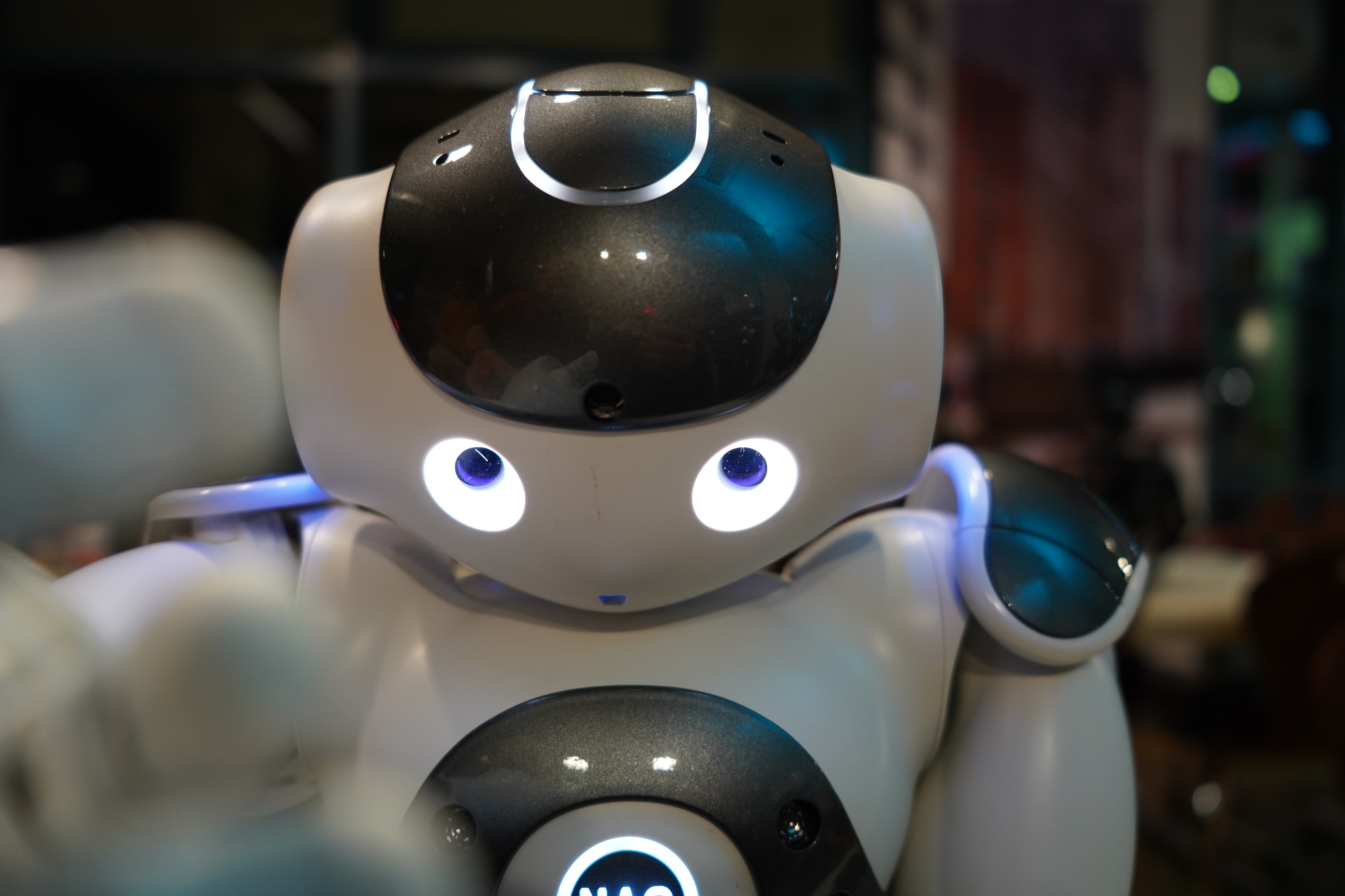 RoboCup photo 12