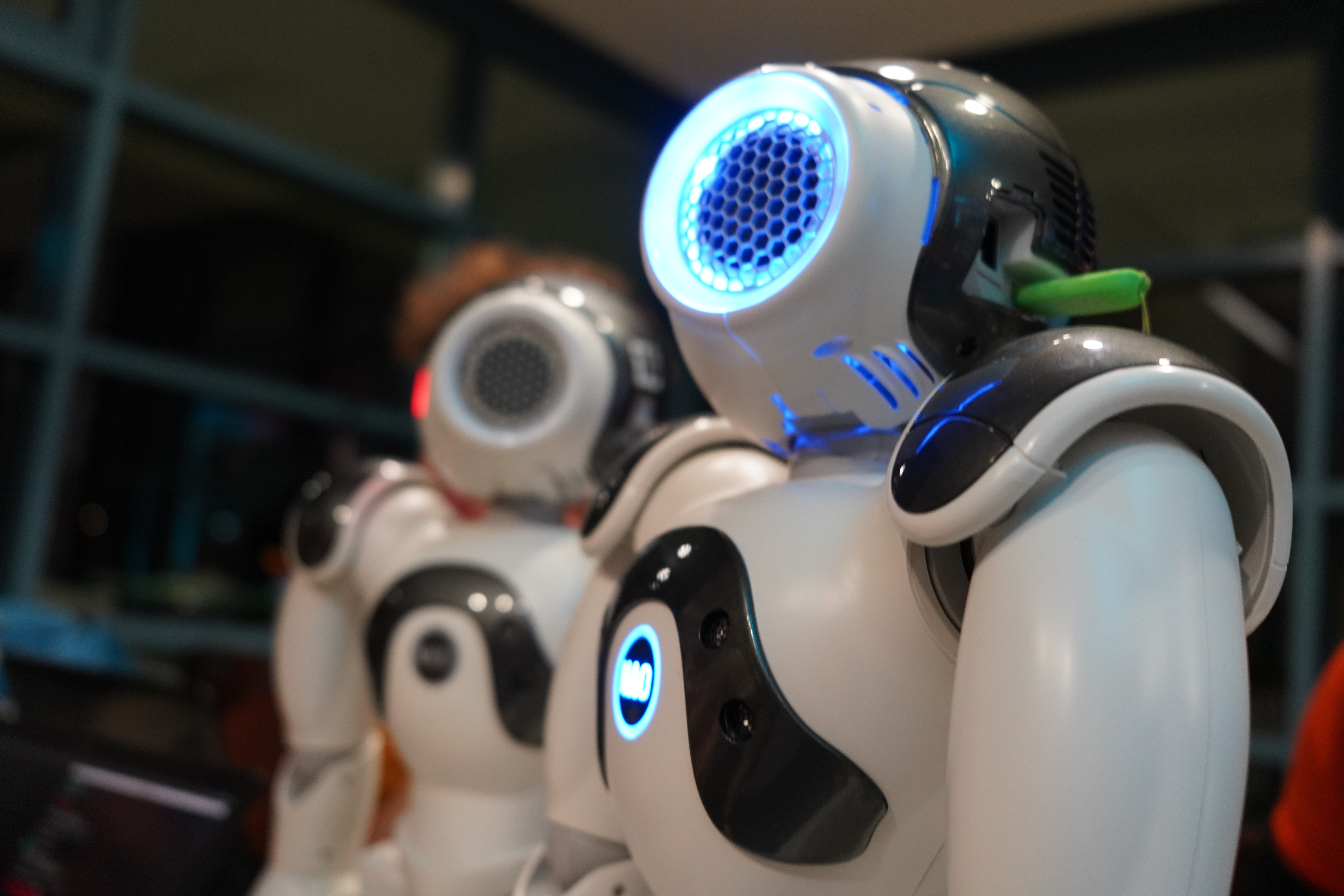 RoboCup photo 7